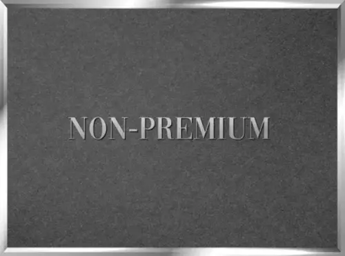 Non Premium Logo